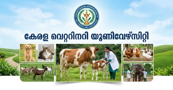 കേരള വെറ്ററിനറി യൂണിവേഴ്സിറ്റിയിൽ ഏഴാം ക്ലാസ് ഉള്ളവർക്ക് അവസരം
