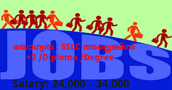 GLOBAL INDIA ൽ അവസരം