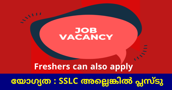 Veegrand ഗ്രൂപ്പിൽ ജോലി ഒഴിവുകൾ എല്ലാ ജില്ലയിലുള്ളവർക്കും അപേക്ഷിക്കാം