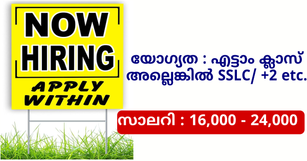 Well Care ഗ്രൂപ്പിൽ സ്റ്റാഫുകളെ ആവശ്യമുണ്ട് എല്ലാ ജില്ലയിലുള്ളവർക്കും അപേക്ഷിക്കാം