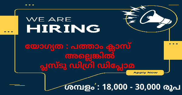 Dream India യുടെ ഓഫീസുകളിൽ വിവിധ തസ്തികകളിൽ നിരവധി ഒഴിവുകൾ