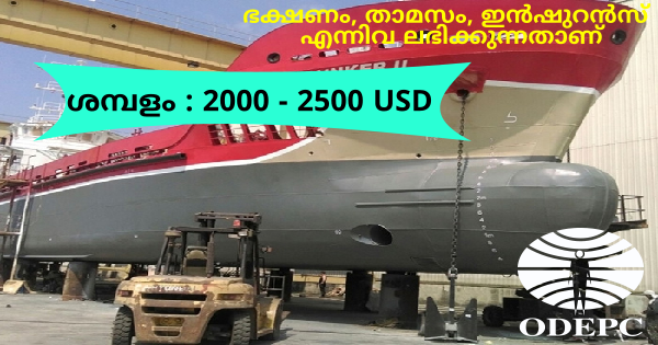 തുർക്കിയിലെ കപ്പൽശാലയിലേക്ക് നിയമനം നടത്തുന്നു പുരുഷന്മാർക്കും സ്ത്രീകൾക്കും അപേക്ഷിക്കാം