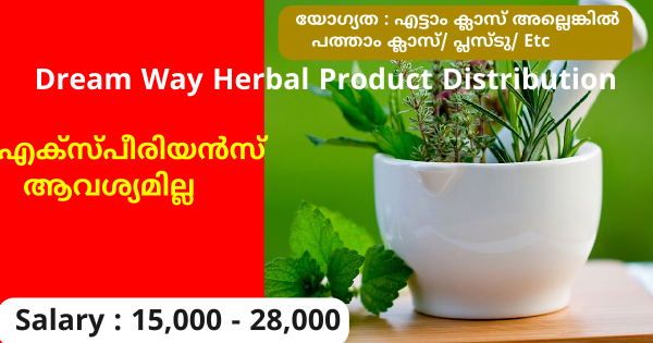 Dream Way യുടെ ബ്രാഞ്ചുകളിൽ ജോലി ഒഴിവുകൾ