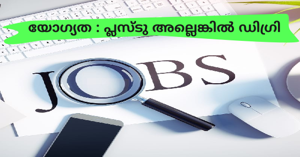 MBC യുടെ സൂപ്പർമാർക്കറ്റിലും സ്റ്റോറിലും ഒഴിവുകൾ